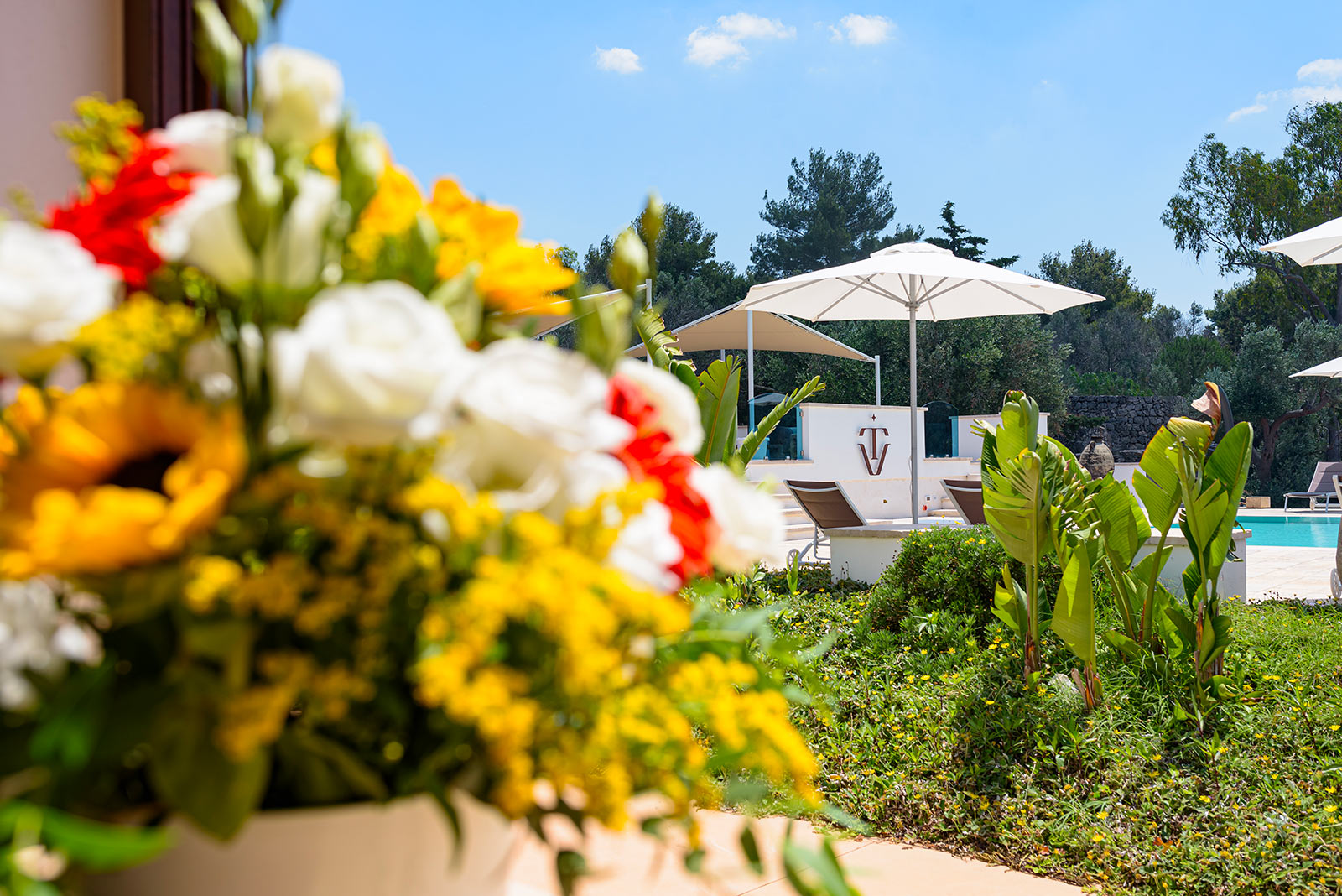 Tenuta don virgilio vacanze in salento 1