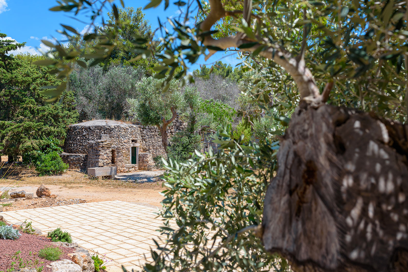Tenuta don virgilio vacanze in salento 28